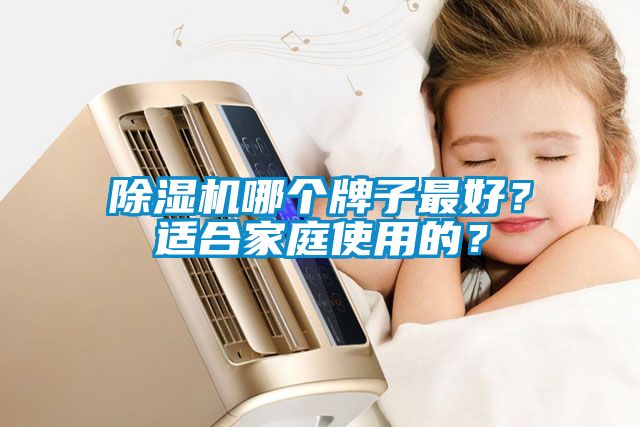 除濕機(jī)哪個牌子最好？適合家庭使用的？