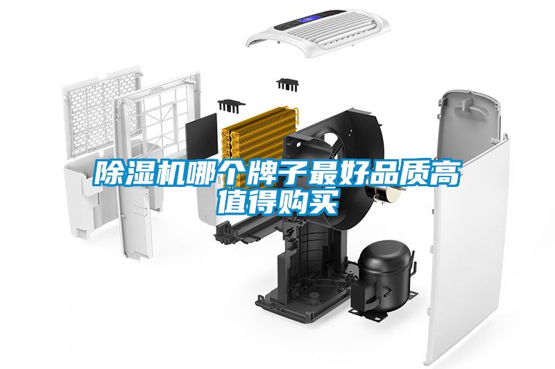 除濕機(jī)哪個牌子最好品質(zhì)高值得購買