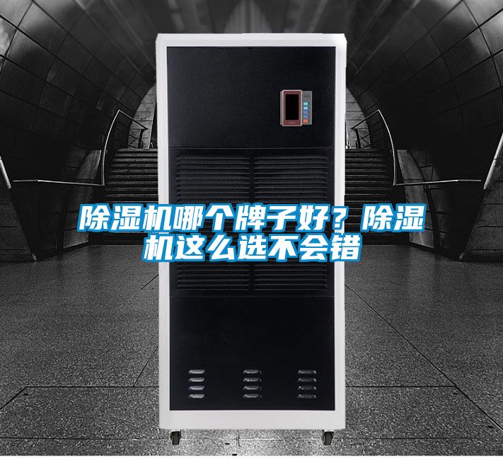 除濕機(jī)哪個牌子好？除濕機(jī)這么選不會錯