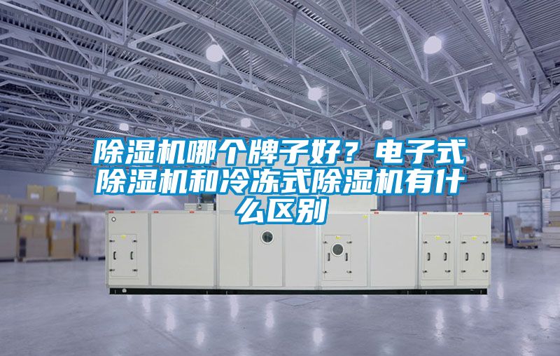 除濕機(jī)哪個牌子好？電子式除濕機(jī)和冷凍式除濕機(jī)有什么區(qū)別