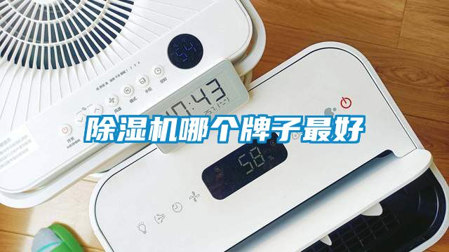 除濕機(jī)哪個牌子最好