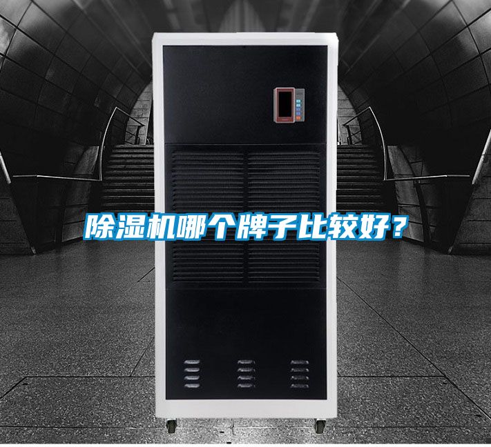 除濕機(jī)哪個牌子比較好？