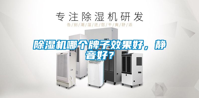 除濕機(jī)哪個牌子效果好，靜音好？