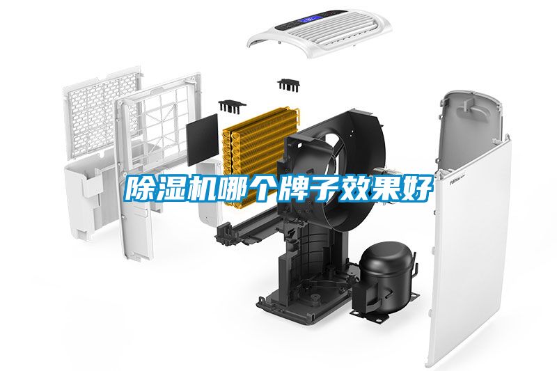 除濕機(jī)哪個牌子效果好