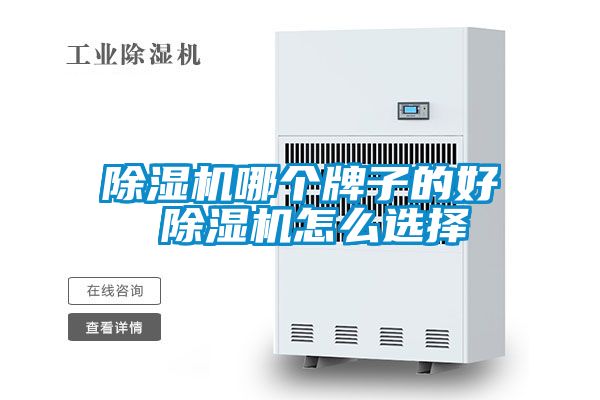 除濕機(jī)哪個牌子的好 除濕機(jī)怎么選擇
