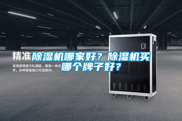 除濕機(jī)哪家好？除濕機(jī)買哪個牌子好？