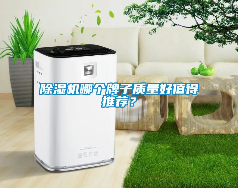 除濕機(jī)哪個牌子質(zhì)量好值得推薦？