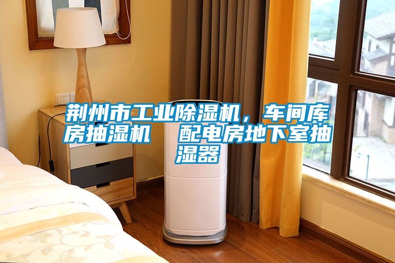 荊州市工業除濕機，車間庫房抽濕機  配電房地下室抽濕器
