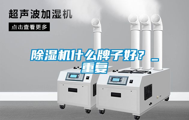 除濕機(jī)什么牌子好？_重復(fù)