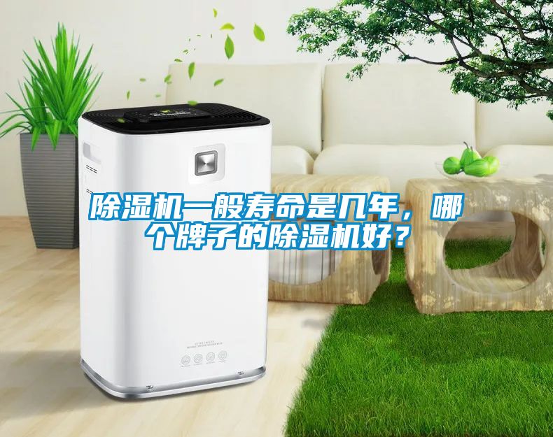 除濕機一般壽命是幾年，哪個牌子的除濕機好？