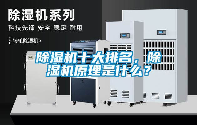 除濕機(jī)十大排名，除濕機(jī)原理是什么？