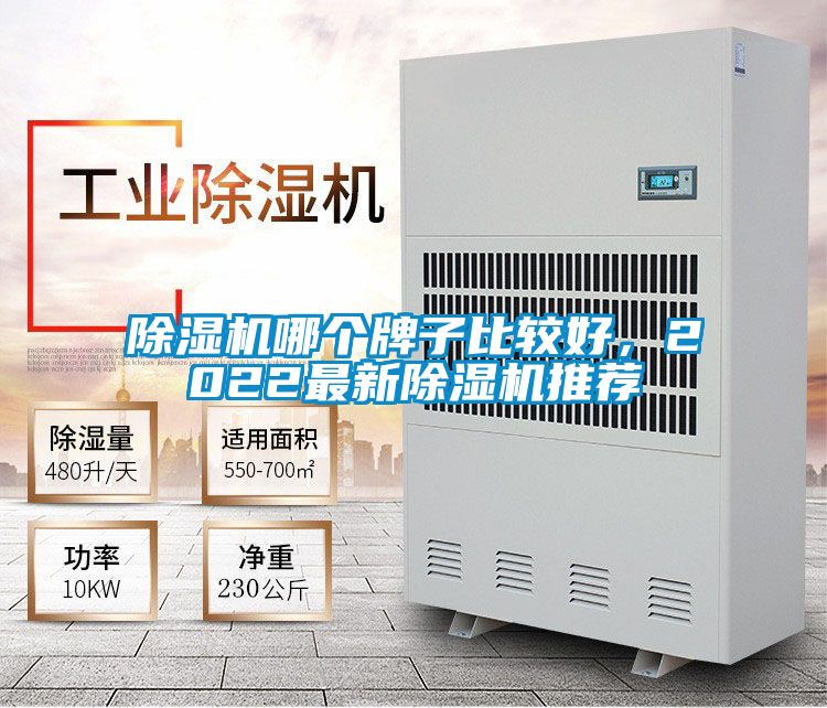 除濕機(jī)哪個牌子比較好，2022最新除濕機(jī)推薦