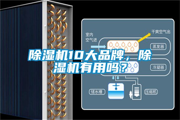 除濕機10大品牌，除濕機有用嗎？