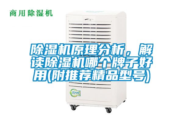 除濕機(jī)原理分析，解讀除濕機(jī)哪個(gè)牌子好用(附推薦精品型號(hào))
