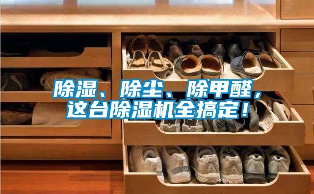 除濕、除塵、除甲醛，這臺除濕機全搞定！