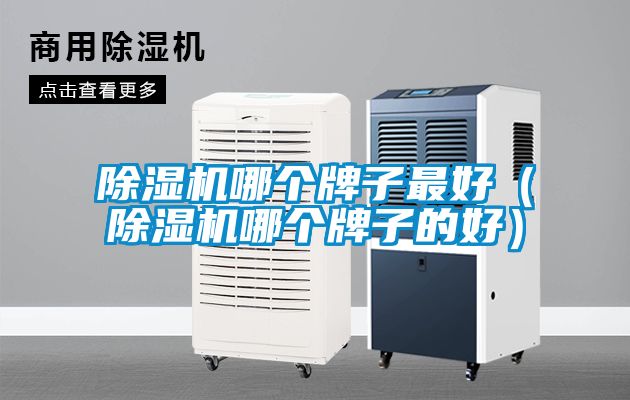 除濕機(jī)哪個牌子最好（除濕機(jī)哪個牌子的好）