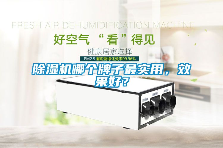 除濕機(jī)哪個牌子最實用，效果好？