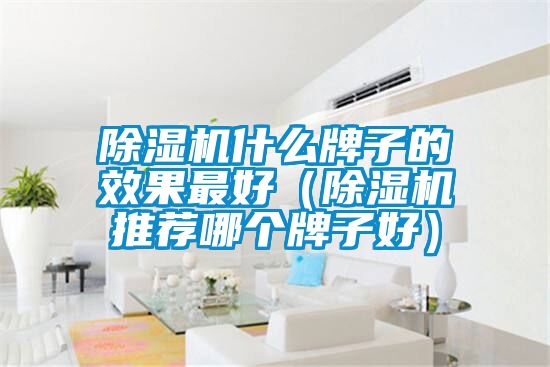 除濕機(jī)什么牌子的效果最好（除濕機(jī)推薦哪個牌子好）