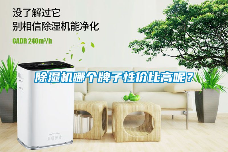 除濕機(jī)哪個牌子性價比高呢？