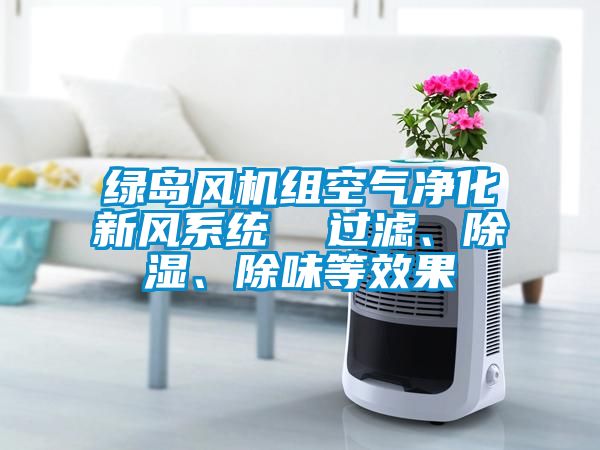 綠島風(fēng)機(jī)組空氣凈化新風(fēng)系統(tǒng)  過濾、除濕、除味等效果