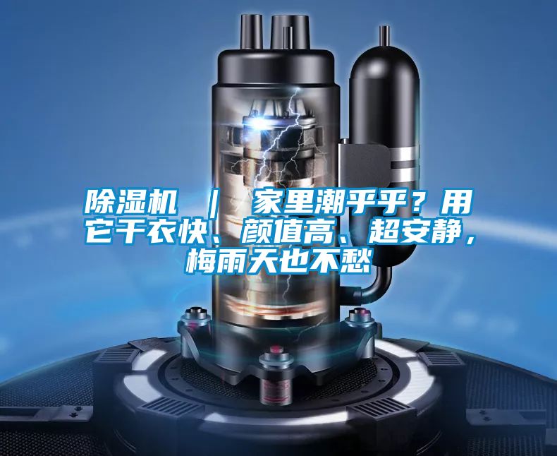 除濕機 ｜ 家里潮乎乎？用它干衣快、顏值高、超安靜，梅雨天也不愁