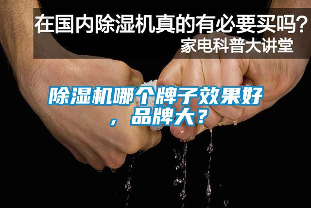 除濕機(jī)哪個(gè)牌子效果好，品牌大？