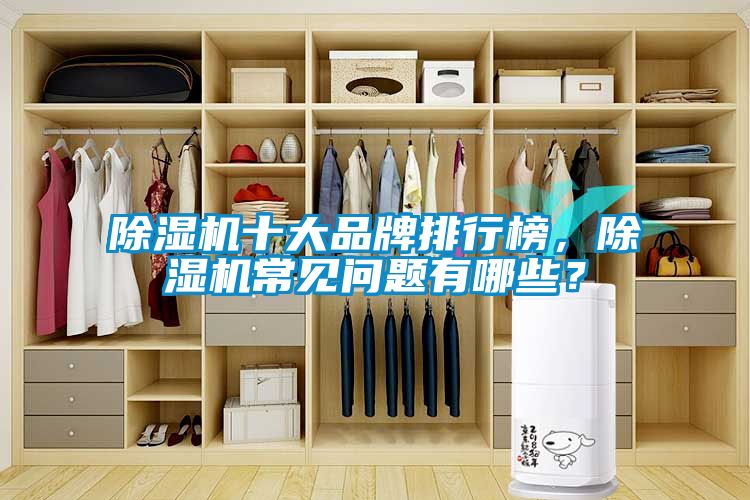 除濕機十大品牌排行榜，除濕機常見問題有哪些？