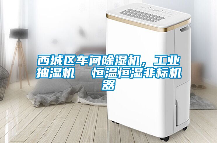 西城區(qū)車間除濕機(jī)，工業(yè)抽濕機(jī)  恒溫恒濕非標(biāo)機(jī)器