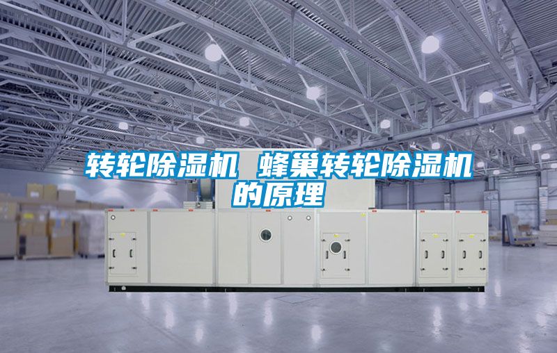 轉輪除濕機 蜂巢轉輪除濕機的原理