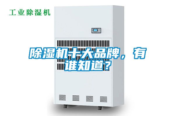 除濕機十大品牌，有誰知道？