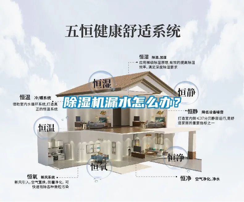 除濕機漏水怎么辦？