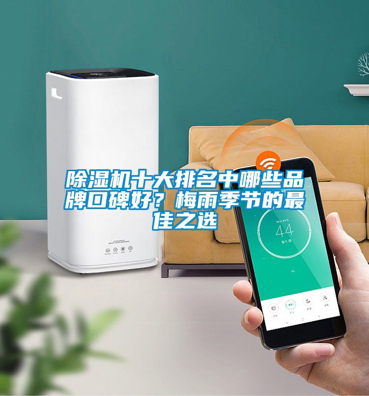 除濕機十大排名中哪些品牌口碑好？梅雨季節的最佳之選