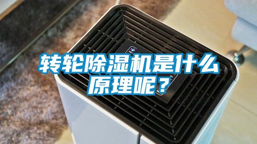 轉(zhuǎn)輪除濕機(jī)是什么原理呢？