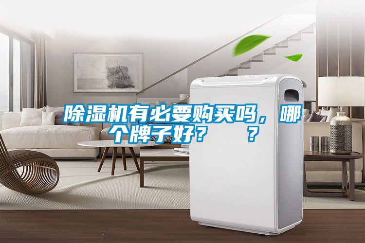 除濕機(jī)有必要購買嗎，哪個(gè)牌子好？  ？