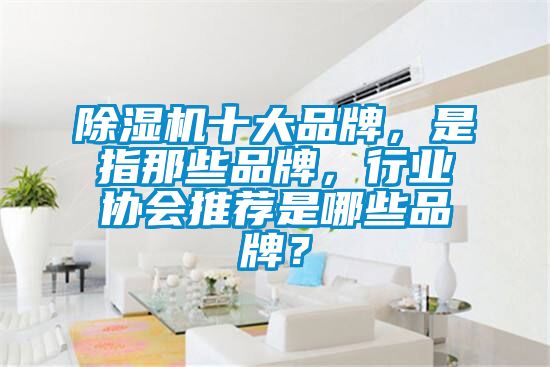 除濕機十大品牌，是指那些品牌，行業協會推薦是哪些品牌？