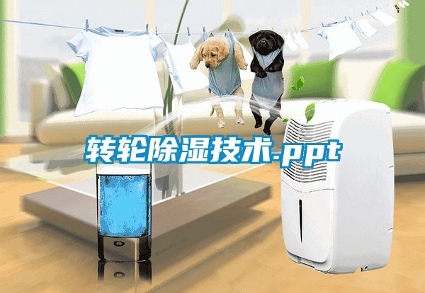 轉(zhuǎn)輪除濕技術(shù).ppt