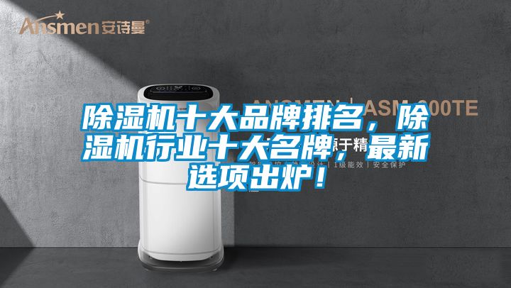 除濕機十大品牌排名，除濕機行業十大名牌，最新選項出爐！