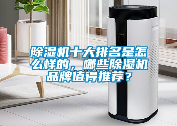 除濕機十大排名是怎么樣的，哪些除濕機品牌值得推薦？