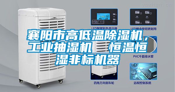 襄陽市高低溫除濕機(jī)，工業(yè)抽濕機(jī)  恒溫恒濕非標(biāo)機(jī)器