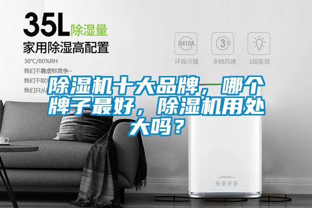 除濕機十大品牌，哪個牌子最好，除濕機用處大嗎？