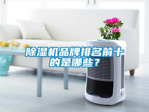 除濕機(jī)品牌排名前十的是哪些？