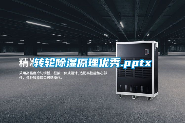轉(zhuǎn)輪除濕原理優(yōu)秀.pptx
