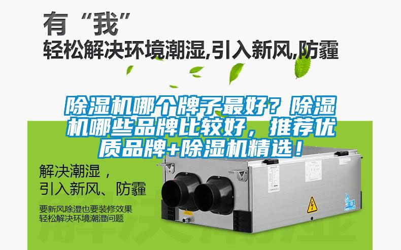 除濕機哪個牌子最好？除濕機哪些品牌比較好，推薦優質品牌+除濕機精選！