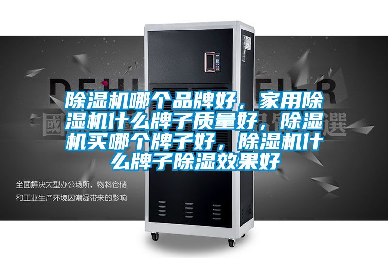 除濕機(jī)哪個(gè)品牌好，家用除濕機(jī)什么牌子質(zhì)量好，除濕機(jī)買哪個(gè)牌子好，除濕機(jī)什么牌子除濕效果好