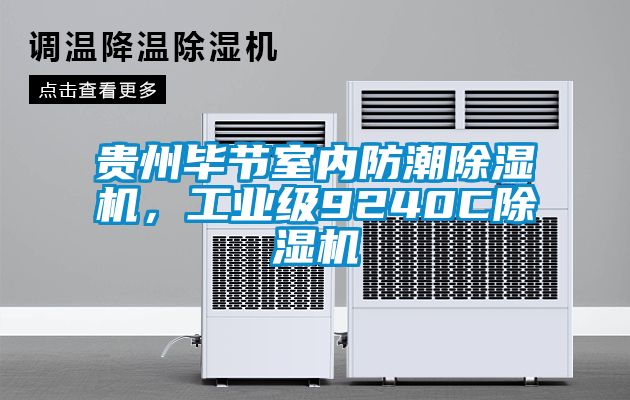 貴州畢節(jié)室內(nèi)防潮除濕機(jī)，工業(yè)級9240C除濕機(jī)