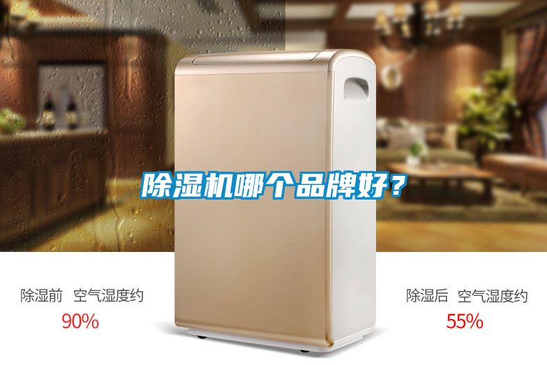 除濕機(jī)哪個(gè)品牌好？