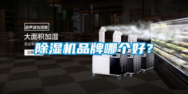 除濕機(jī)品牌哪個好？