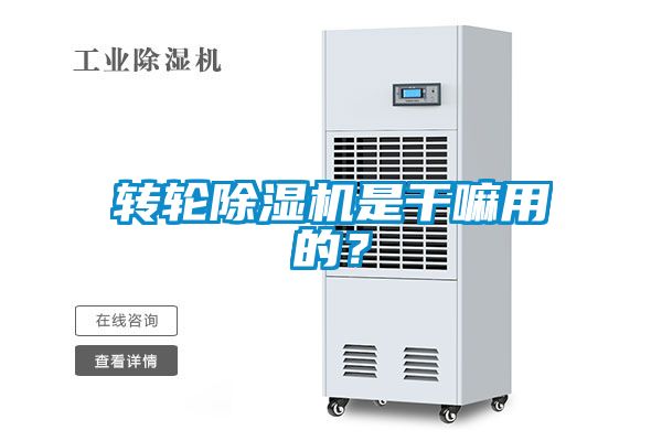 轉(zhuǎn)輪除濕機(jī)是干嘛用的？