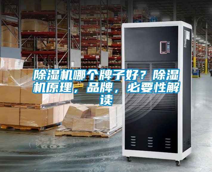 除濕機哪個牌子好？除濕機原理，品牌，必要性解讀