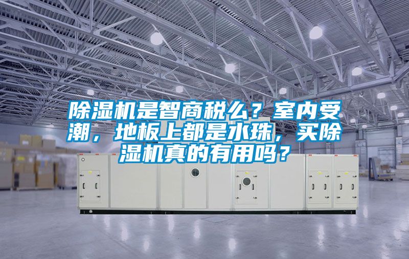 除濕機是智商稅么？室內受潮，地板上都是水珠，買除濕機真的有用嗎？